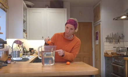 Video: How to be a Scientist at Home!