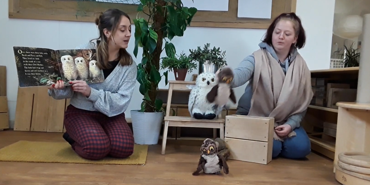 Video: Owl Babies with Maya and Abi