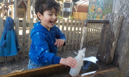 News from the Nursery Room 1 – July 2025
