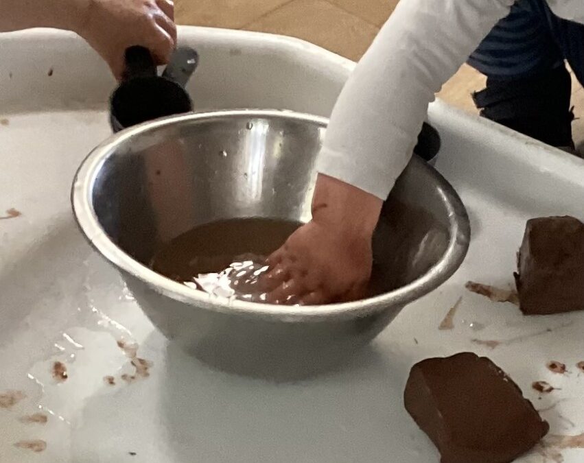 News from the Baby Room 1 – July 2025
