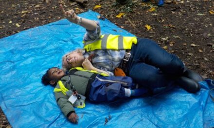 News from The Pod (Nursery Room 3) – October 2025