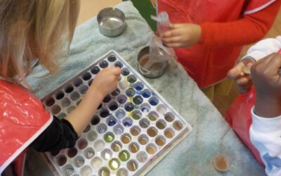 News from The Pod (Nursery Room 3) – February 2026