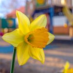 Our Friday Message – 27th March 2026