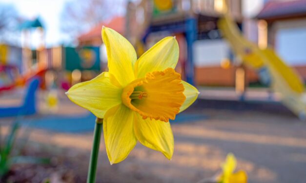 Our Friday Message – 27th March 2026