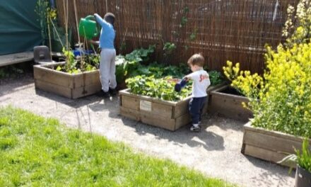 News from the Nursery Room 1 – May 2026