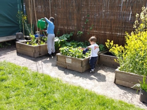 News from the Nursery Room 1 – May 2026