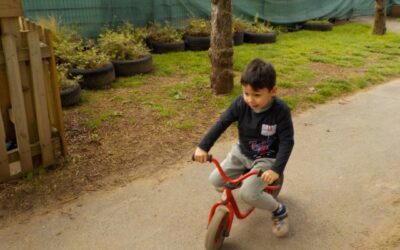News from Nursery Room 2 – May 2026