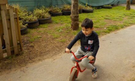 News from Nursery Room 2 – May 2026