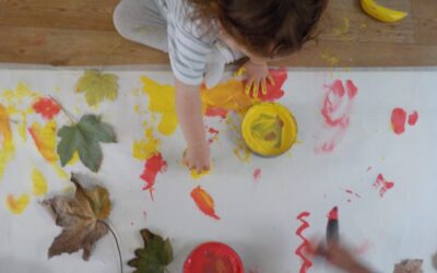 News from the Baby Room 1 – October 2026