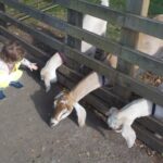 News from the Baby Room 2 – October 2026
