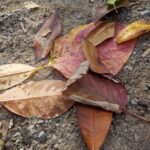 News from the Early Years 2 Room – October 2026